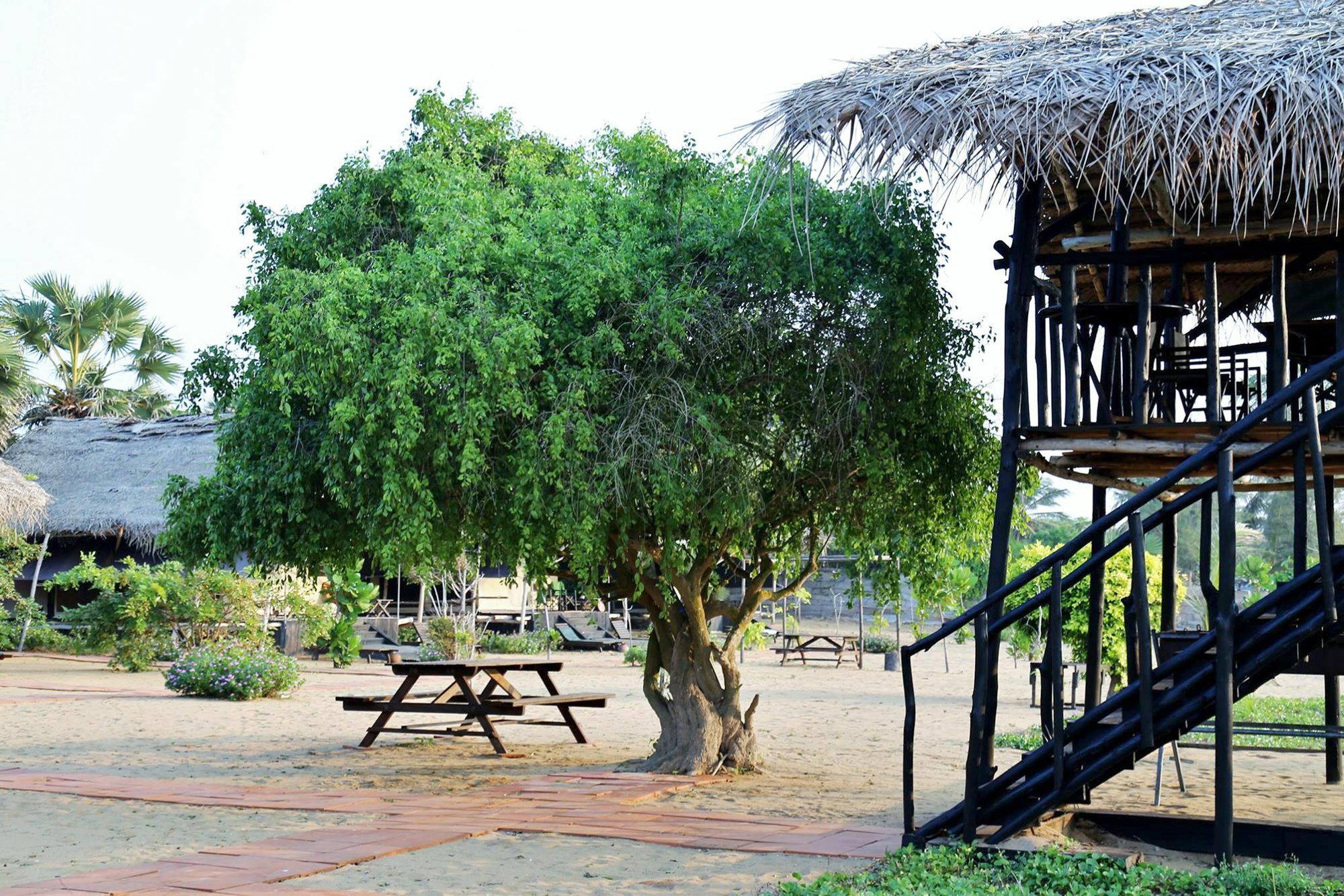 The Beach Camp Yala คิรินดา ภายนอก รูปภาพ